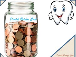 Dental Bridge Cost